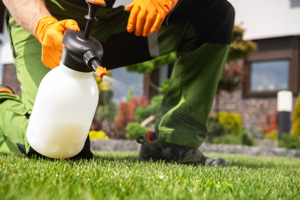 Best Local Pest Control Services  in Fullerton, PA