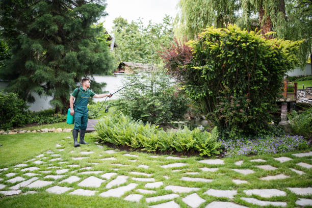 Best Wasp Removal Services  in Fullerton, PA